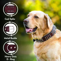 adil's Leather Spike Dog Collar, Adjustable Buckle, D-Ring, Size M, Brown Dog Everyday Collar image 3