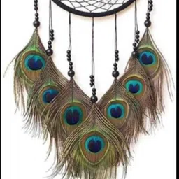 daksh creation store Pack of 9 Decorative Feathers image 2