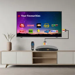 FXI 390 MPEG-2 DVB Digital Set Top Box, Free To Air DD Free Dish Channels Receiver Media Streaming Device image 5