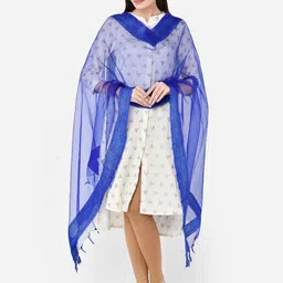 Dupatta Bazaar Blue Solid Organza Dupatta-picture-43
