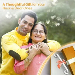 spazio 18 Inch Grab Bar With Anti-Slip Nylon Grip/Grab Bars For Senior Citizens / Shower Grab Bar image 5