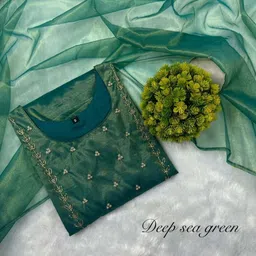 ervasa Pack of 2 Women Embellished Net Straight Kurta image 3