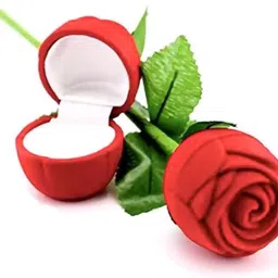 alvira Princess Style Adjustable Women with Rose Box Packing Stainless Steel Cubic Zirconia, Crystal, Diamond Silver Plated Ring image 5