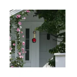 JASMEY HOMES Black Ladybug Wall Hanging image 5
