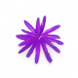 divaura Set Of 2 Natural Dyed Craft Project Shuttle Feathers Making for Decorations image 5