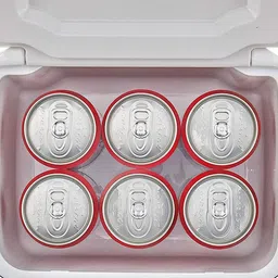 randal 6 L Plastic Insulated Chiller Ice Box Ice Bucket image 4