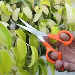 go green landscape Stainless Steel Garden Thinning Shear Scissor for Pruning and Trimming Plants Garden Tool Kit image 4