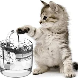 ghanu Cat Water Fountain, Dog Water Dispenser, Pet Drinking Fountain, Drinking Bowl image 1