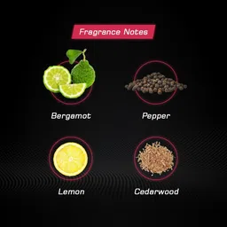 layer'r Shot Red Stallion Long Lasting Fragrance Body Spray - For Men image 4