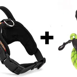 cocker Star Body Belt Rope Combo Dog & Cat Harness & Leash image 4