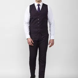 Peter England Elite Men Violet Textured Single-Breasted Slim-Fit Three-Piece Formal Suit image 4