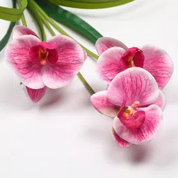 casacraft from pepperfry Pink Polyester Dark Stunning Orchid Artificial Flowers image 3