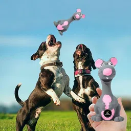 psk pet mart Latex Toy for Dogs Squeaky Chew Interactive Play Toy for Small Medium Rubber Squeaky Toy For Cat image 2