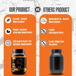 beastlife High Protein Gainer - No Maltodextrin Weight Gainers/Mass Gainers image 3
