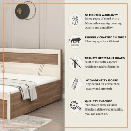 mintwud from pepperfry Sappora Queen Size Bed in Bella Noce & Highland Pine Color with Hydraulic Storage image 5