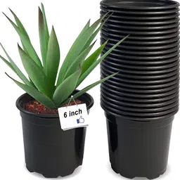varshney gardening 6 inch round flower pot (black nursery) for plant pots indoor and outdoor decor Plant Container Set image 3