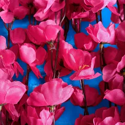 goodvibes Realistic Looking Artificial Flowers Red Cherry Blossom Artificial Flower image 4