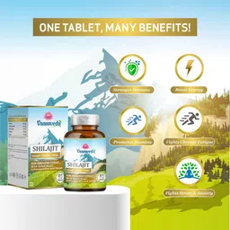 Vaamveda Shilajit,  60 capsules  image 2