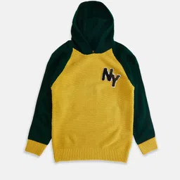 Pantaloons Junior Boys Yellow & Black Colourblocked Pullover-picture-34