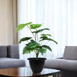 go hooked Artificial Monstera Plant With Nursery Pot | 18 Green Patterned Leaves Artificial Plant with Pot-picture-15