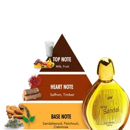 CFS Cargo & Wild Sandal Set Of 2 EDP - 100ml each image 2