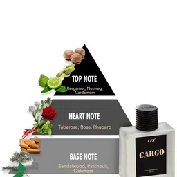 CFS Cargo & Wild Sandal Set Of 2 EDP - 100ml each image 3