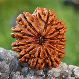 divine souvenirs 11 MUKHI RUDRAKSHA ( ELEVEN FACE) 100% ORIGINAL WITH CERTIFICATION Wood Pendant image 4