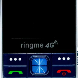 R1 BOLD2-image-0