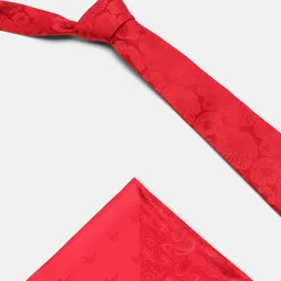 Blackberrys Men Printed Skinny Tie image 5