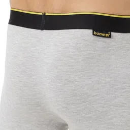 bummer Mid Rise Trunk TRGRM01S image 2