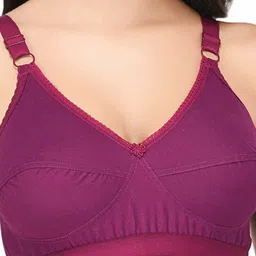 elina Bra Full Coverage image 4