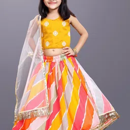 BAESD Girls Embroidered Ready to Wear Lehenga & Blouse With Dupatta image 1