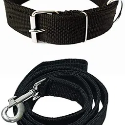 jadee Dog & Cat Collar & Leash-picture-12