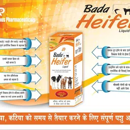 aurous Bada Heifer Liquid 500ml & VYYTUM-H 1L Combo For Cow, Buffalo & Farm Animal Pet Health Supplements image 2