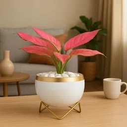 Indoor Metal Planter / Trending Pots / Unique Designer Flower Vase (White Gold) Iron Vase-image-1