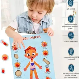 parteet Body Part Puzzle Kids Wooden Toys Jigsaw Puzzles for Adults Baby Learning Toys image 5
