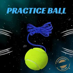 vs sports Cricket Tennis Hanging Practice ball Heavy for Indoor/Outdoor Knocking Cricket Tennis Ball image 2