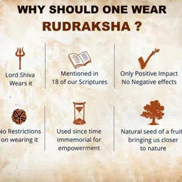 55carat Natural Certified Nepali Rudraksha 1 to 13 Mukhi Ganesh Gauri Shankar Simple Pendant with Red Thread Shiva Astrology Jewellery for Men Women image 4