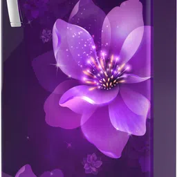 whirlpool 192 L Direct Cool Single Door 5 Star Refrigerator image 3