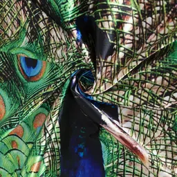 Home Sizzler Set Of 2 Printed Room Darkening Window Curtains image 3