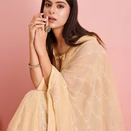 VAIRAGEE Sequinned Saree image 4