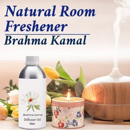SAGE APOTHECARY Brahma Kamal Aroma Diffuser Oil 1000 ml-picture-24