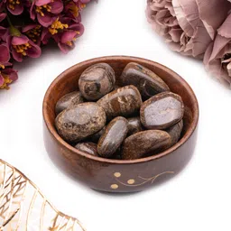 plus value Bronzite-Tumbled-Pebbles-Stone-300gm-Wooden-Bowl Regular Asymmetrical Crystal Pebbles image 3