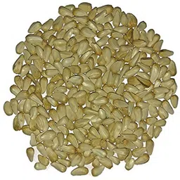 foodies puppies Safflower Seeds/Kusum Beej/Kardi Seed for Birds 0.31 kg (3x0.1 kg) Dry Adult, Young Bird Food-picture-24