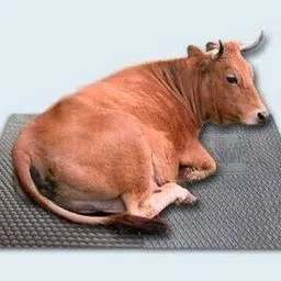 ursus Cow Mat, Mat for Cow, Buffalo, Bull,Horse, Rubber Mat for All Animal Cow, Dog, Guinea Pig, Hamster, Miniature Pig Pet Mat-picture-14