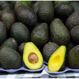 cloud farm Avocado Plant image 2