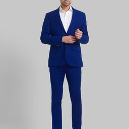 park avenue Men Suit Checkered Suit-picture-19