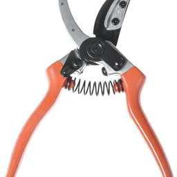 vinka VAPS 015 Professional Cut & Hold Pruner, Cuts Rose & Fruit Plants Stems Upto 15mm Bypass Pruner-picture-27
