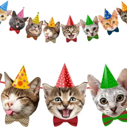 zyozique Cat Theme Birthday Party Decorations Banner, Kitty Cat Theme Banner-picture-39