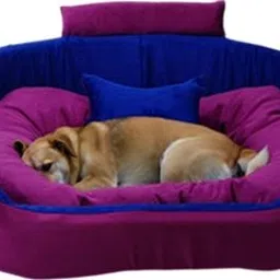 havens dream Dog Bed, Sofas Bed & Chairs Bed Coller With Haddi XXL Pet Bed-picture-18